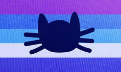 computercatgender