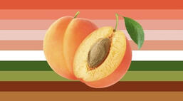 apricot gender
