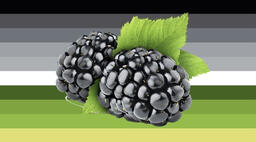 mulberry gender