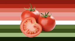tomato gender