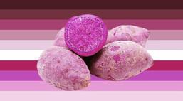 purple sweet potato gender