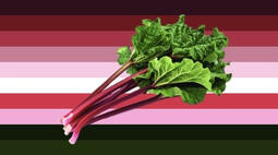 rhubarb gender