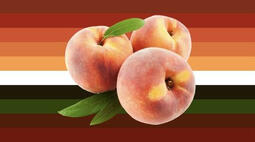 nectarine gender