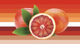 blood orange gender
