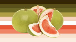 pomelo gender